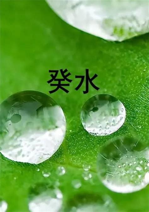 日主：壬水|基础知识︱十天干「壬水」解析︱含义•性格•爱情•事业•适合程度